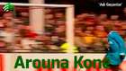 Arouna Kone